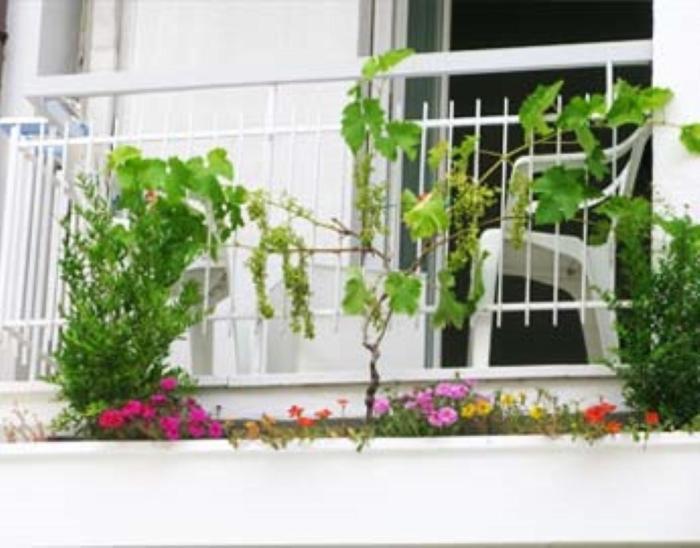 B&B Residence Sorriso Cattolica Exterior photo